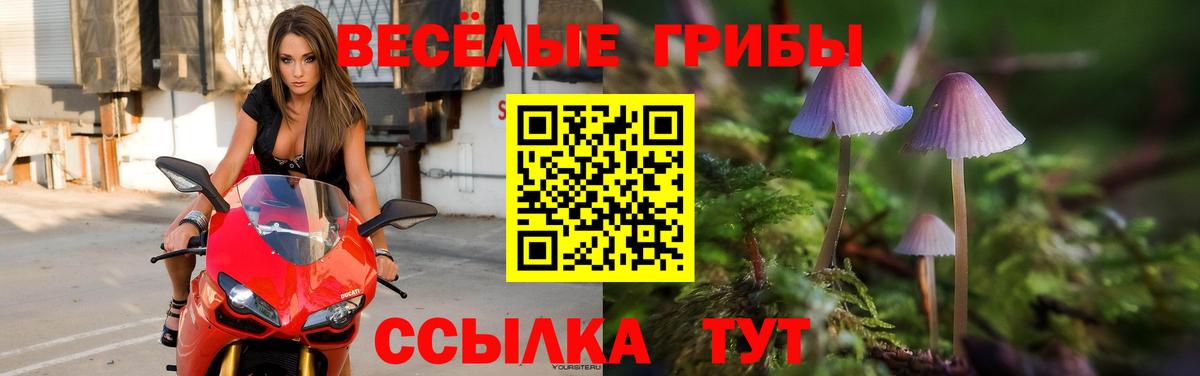 Псилоцибиновые грибы Magic Shrooms  Вход с VPN  Коркино 